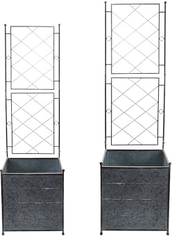 Creative Co-Op 2-Piece Galvanized Metal Planters with Trellis, Silver