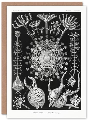 Artery8 Ernst Haeckel Art Card Phaeodaria Marine Life Illustration