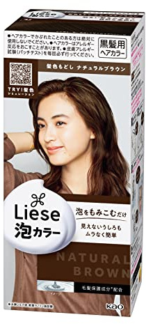 Kao | Liese Prettia AWA Hair Color KAMI IRO MODOSHI | Natural Brown by Prettia