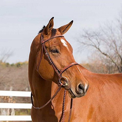 HORZE Champion Snaffle Show Bridle Pony