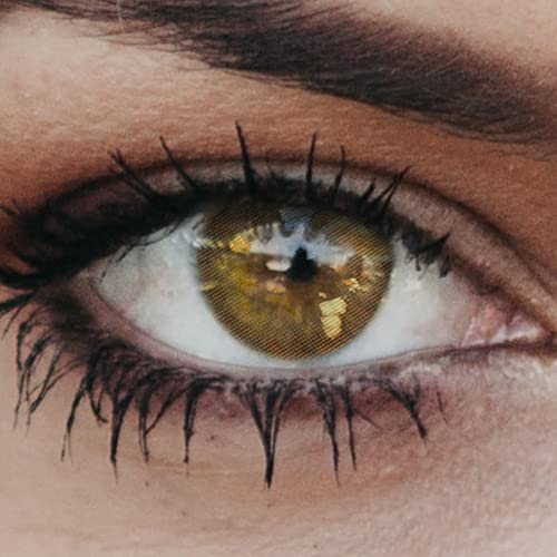 Glamlens lentilles de couleur marron naturelles colorées très haute opacité New York Mel + étuis à lentilles de contact I 1 paire (2 pièces) I 90 Jours I sans correction I 0,00 Dioptries