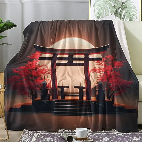 ZDABAOEC Kuscheldecke Flauschig Japanische Decke, Fleecedecke 230x270, Sofadecke & Couchdecke, Weiche Kuschelige Wohndecke Blanket, Riesig Groß Decken für Sofa Couch
