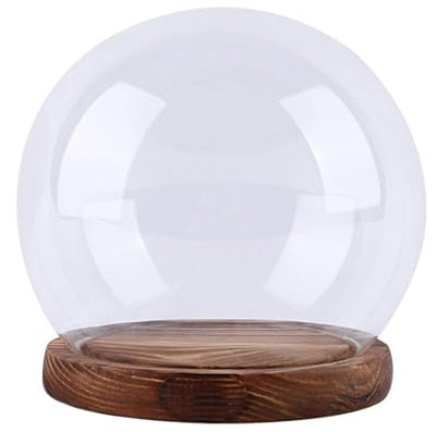 MagiDeal Cloche dôme en Verre, Cloche en Verre, dôme Globe, Terrarium Rond, Artisanat de Mariage, Micro Paysage, Cloche en Verre, 12CM