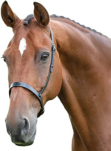 Shires Blenheim Cavesson Noseband-Black Pony