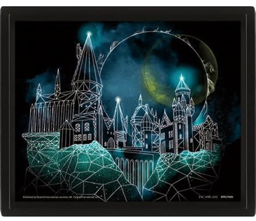 Pyramid International 3D-Linsenrahmen – Echte Bewegung und Tiefe – Harry Potter – Hogwarts – Geschenkidee zum Geburtstag – 25,5 x 20,5 cm – offizielles Lizenzprodukt