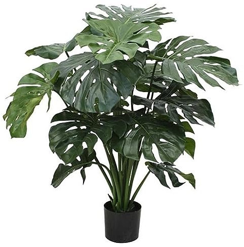 10Pcs Monstera Seeds Easy Grow Plant Ornamental Greenery Garden Office Decor para la plantación de jardines Semillas de Monstera