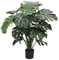 10Pcs Monstera Seeds Easy Grow Plant Ornamental Greenery Garden Office Decor para la plantación de jardines Semillas de Monstera
