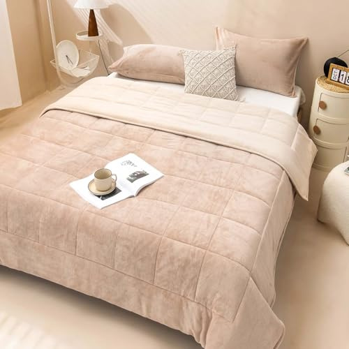 OKYUK Luxuriöses Samt-Bettwäsche-Set für King-Size-Bett, leichtes Samt-Bettwäsche-Set, übergroße Tagesdecke, Tagesdecke, Stepp-Bettwäsche-Set, mit 2 passenden Kissenbezügen (Hellbraun mit Beige, 229 x