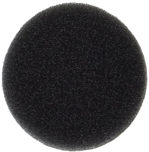 Kirby 307364 Sponge, R.R. Tanks