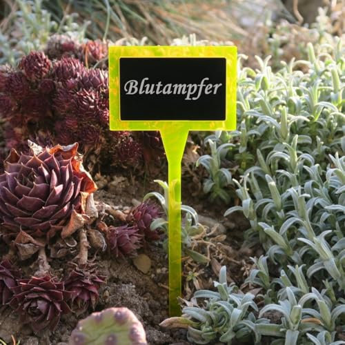 Bütic GmbH - Placa para planta de vidrio acrílico, doble cuadrado, color naranja neón y negro, resistente a la intemperie, placa para hierbas, conector para plantas, Ahuyentador de sangre.