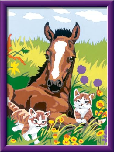 Ravensburger CreArt Süße Tierkinder - Malen nach Zahlen ab 9 Jahre | Mit Stickern, Malset mit Rahmen, Pinsel und Acrylfarben, Geschenk für Mädchen und Jungen