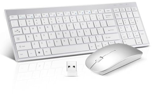 Wireless Silent Lightweight Keyboard and Mouse Ultra Slim Combo, 2.4G USB Quiet Compact Scissor Switch Keyboard Mice Set with Cover, 2 AA and 2 AAA Batteries, for Laptop/PC/Windows - Silver White
