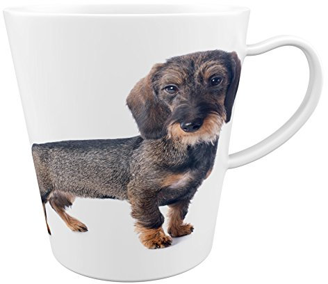 Merchandise for Fans Dackel Teckel Dachshund Rauhhaardackel |Latte Macchiato Becher Kaffeebecher mit Fotodruck |006