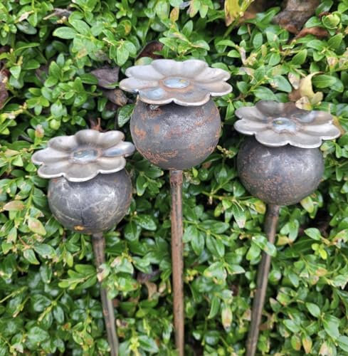 GAP GARDEN PRODUCTS Solid Metal 4ft (120cm tall) Plant stake Poppy Bud design (pack of 3) Supplied bare metal that will age over time to give a beautiful rustic patina finish