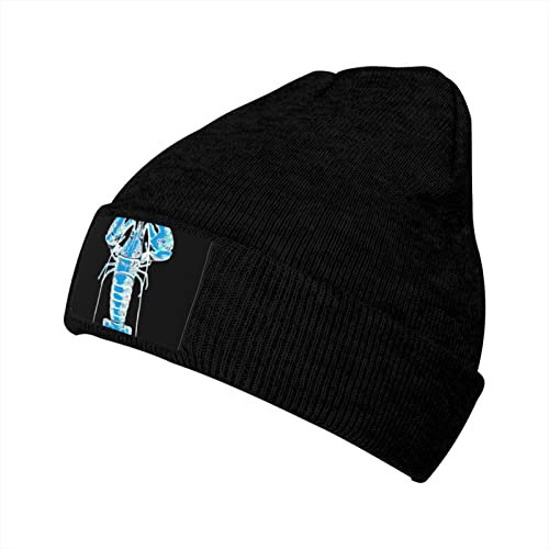 Strickmützen Funky Lobster Mütze Atmungsaktiv Kopfbedeckung Weich Beanie Mütze Für Herren Und Damen, Für Motorradfahren, Skifahren, Snowboarden, 56-62cm