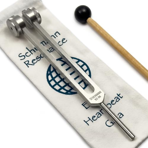 93,96 Hz Schumann Gewichtete Stimmgabel mit Weltraster-Gravur, Silber | Mit Tragetasche und Rührer, Klangheilungsinstrumenten und Biofeld-Harmonisierung – Chakra-Ausrichtung