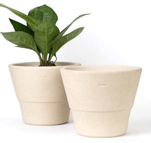 Nipots 2 Pack Terracotta Clay Plant Pots with Drainage, Breathable Water-Absorbing Planters for Healthy Roots, 8 Inch Deep Flower Pots for Gardening, Indoor and Outdoor, Beige