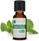 Huile Essentielle BIO d'Origan - 100% Pure et Naturelle - HEBBD et ECOCERT - Huile Essentielle aux Nombreuses Vertus et Applications 20ml - VOSHUILES