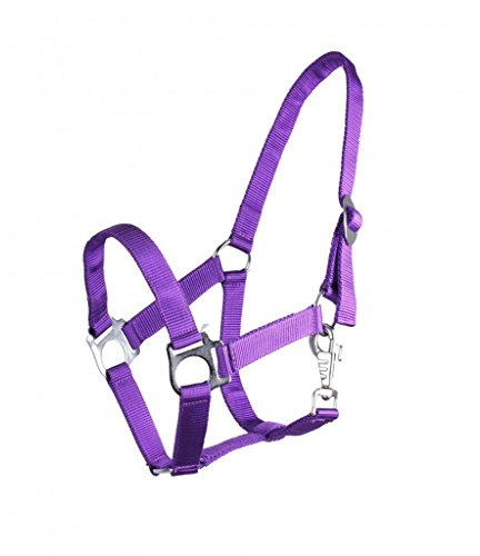 QHP Nylonhalfter Genickstück verstellbar durch Schiebeschnalle (Warmblut, Passion Flower)
