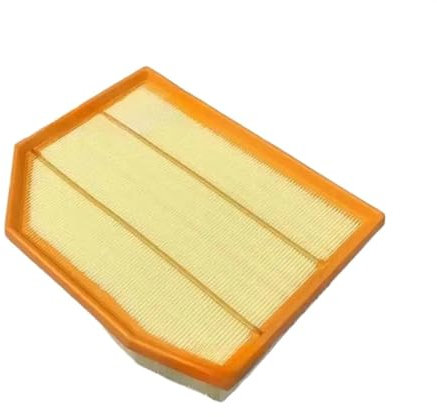13717542545 Filtro aria compatibile con B-MW Z4 Roadster (E85) 2.0 i 2.5 i 2.5 si 3.0 si X3 (E83) 2.5 si 2.5 si xDrive 3.0si xDrive 25i 3,0si