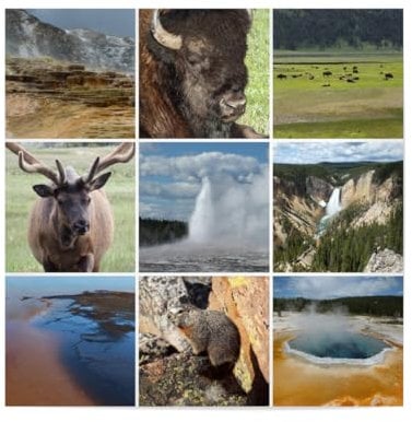 artboxONE Poster 30x30 cm Natur Yellowstone Collage hochwertiger Design Kunstdruck - Bild Yellowstone Amerika Bison