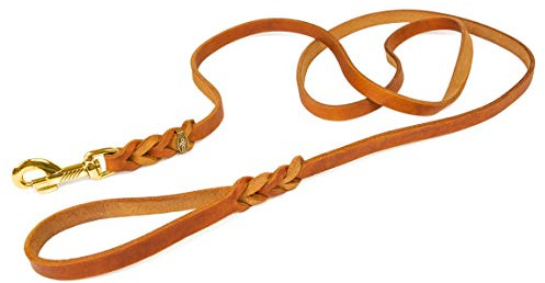 Hundeleine Leder 2,5m kleine Hunde leicht Fettlederleine [mit Handschlaufe] Lederleine geflochten – robuste Leine Hund mit Messingbeschlägen – Führleine Hund & Freihandleine zum Umhängen, Cognac 8mm