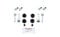 Bigg Red - Brake Caliper Slider Bolt Kit - Rear Left & Right - Compatible with,