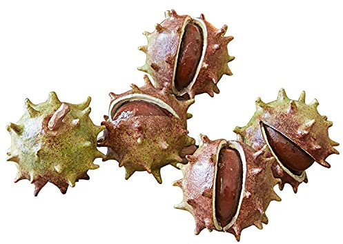 Loberon Deko-Kastanie 5er Set Léo, handgefertigt und von Hand bemalt, naturgetreue Nachbildung, Dekoration, Dekoobjekt, Polyresin, rotbraun