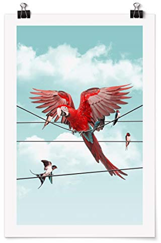 Bilderwelten Poster Galerieprint - Jonas Loose - Himmel mit Vögeln - Glänzend 90 x 60cm