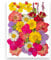 YoothBro Getrocknete Gepresste Blumen für Harzformen, Echte Natürliche Gepresste Blumen für DIY Kunsthandwerk, Kerzenherstellung, Nageldekoration, Seifenherstellung, Handyhüllen