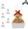 Geschenkkorb PräSentkorb Leer Pappe, GeschenkköRbe Leer - Korb FüR Präsentkorb - KöRbe FüR Valentinstag Weihnachten Geschenke Geschenkbox - Geschenk Gift Geschenkverpackung Box [5er-Pack]