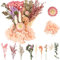 LAUMOE Trockenblumen Set, Getrocknete Blumen Zum Basteln Klein für Kunst DIY Harz Scrapbooking Handwerk Karten Machen (Stil 5)