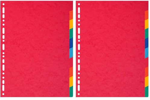 Exacompta - Ref 2110E - Forever Collection - 100% Recycled Dividers - Suitable for A4+ Documents, 220gsm 100% Recycled Card, 10 Position - Multicoloured (Pack of 2)