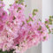 150 pcs wilde veilchen samen - bonsai samen blumendeko bienenfreundliche blumensamen usambaraveilchen,Matthiola incana,Violette winterfeste pflanzen für balkon winterharte kübelpflanzen