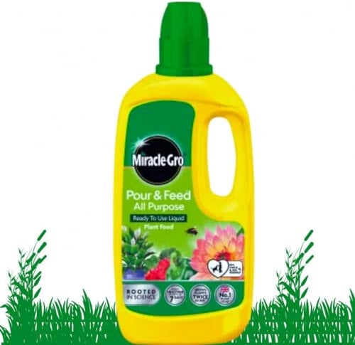 Pour and Feed Plant Food – Pour and Feed Plant Food 1L – Indoor and Outdoor Use
