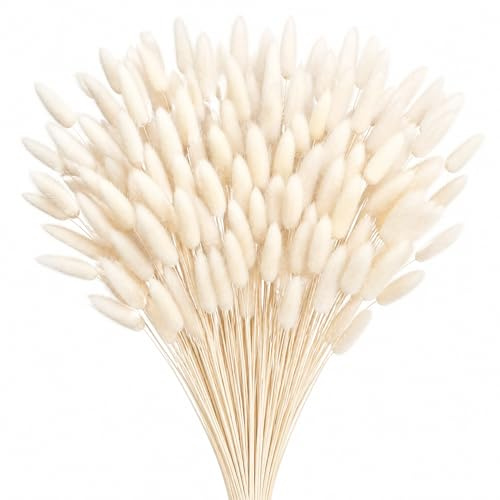 120 Stück Hasenschwanzgras Getrocknet 45 cm, weiße Trockenblumen Deko für Vase, Pampasgras Deko klein, weich und flauschig, zuschneidbar für Hochzeit, Wohnzimmer, Büro und Tischdeko