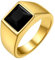 GoldChic Herren Ring Gold Edelstahlring Siegelring mit schwarzem Stein Bandring 64mm Solitärring Damen Modeschmuck Accessoires