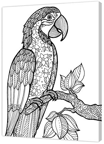 Pintcolor 7805.0 Keilrahmen mit Leinwand bedruckt zum Ausmalen, Holz-Tanne, weiß/schwarz, 40 x 50 x 3.5 cm
