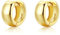 SILBERTALE Dicke Ohrringe Gold Creolen 10mm Silber 925 Klein Breit Kreolen Huggie Hypoallergen Ohrringe für Damen