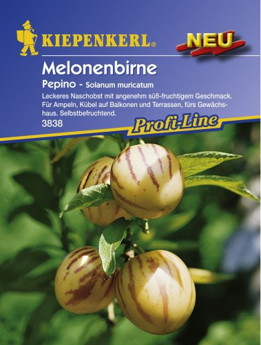Sperli Gemüsesamen Melonenbirne Pepino, grün