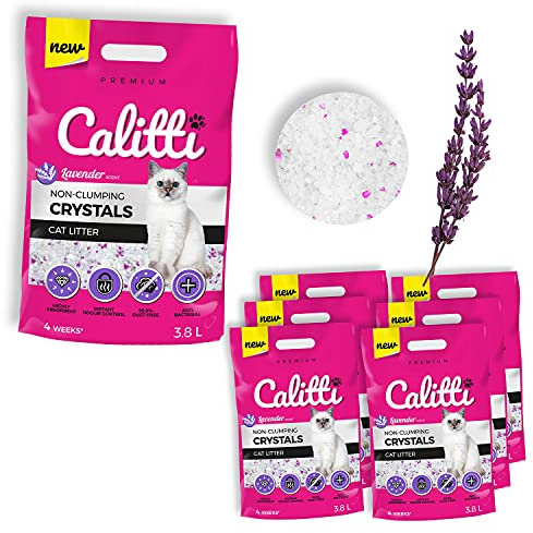 Calitti - Silikat Katzenstreu | Premium Crystals Silikatstreu | Antibakteriell Katzensand mit frischem Lavendelduft | 6-er Set 6 x 3,8 L = 22 L