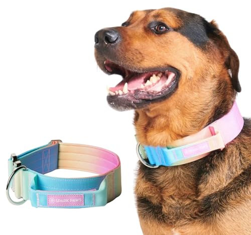 Spark Paws Taktisches Hundehalsband – Robuste, Premium-Qualität, Dick und Langlebig für Große und Mittelgroße Hunde - Pastel Icing - L, 5cm