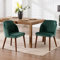 chairus Esszimmerstühle 2er Set Retro Küchenstühle ohne Armlehnen Samt Polsterstuhl Akzentstuhl mit Holzbeinen für Wohnzimmer Küche (Grün)