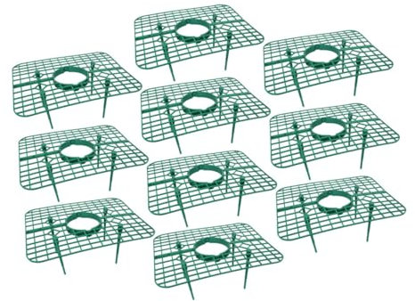 Gogogmee Outil De Fruits Unique pour Fraises 10 Pièces Supports pour Les Amoureux du Jardin