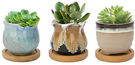 FORAGIFT Vaso per piante grasse in ceramica da 6,5 cm, per cactus per piante da interno ed esterno, piccolo vaso da fiori in smalto fluente con drenaggio e vassoio in bambù, ideale per la decorazione