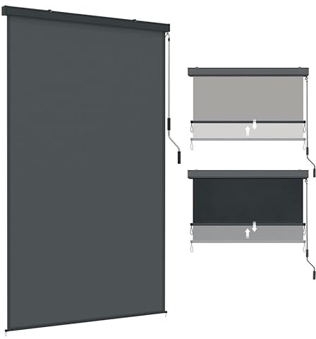Aufun Tenda da Sole Verticale con Manovella 160x250 cm, Tenda a Rullo per Esterno con Cassetta per Balcone, Terrazzo e Esterni, Protezione da Vento e Sole (1,6 x 2,5 m, Antracite)