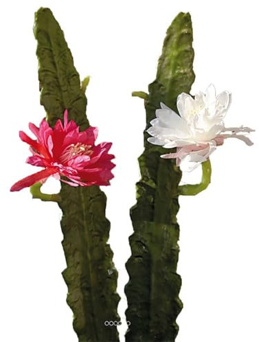 Artificielles.com - Schöne künstliche Kaktus-Kerze, Höhe 52 cm, mit Blüte, Fuchsia