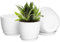 FIASON 20/23/25 cm Plant Pots, Plastic Plant Pots with Drainage Holes and Saucers, Flower Pots Suitable for Indoor and Outdoor Use(White, Set of 3)