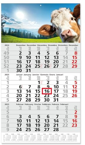 Timr 3-Monatskalender 2025 Kuh I Fußleisten-Jahreskalender 30 x 53 cm I mehrsprachig D/GB/F/I/E/NL Jahresplaner mit Schieber und Aufhängeöse Berge Witzig I tr264