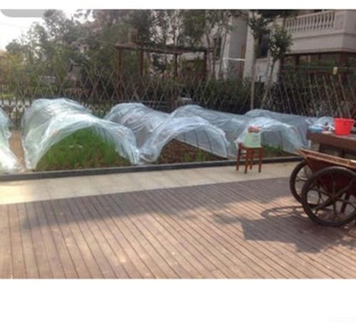 Película de invernadero, lámina de plástico transparente para invernadero, cubierta de polietileno resistente para plantas de invernadero, lámina de túnel de invernadero (8 pies)